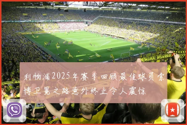 利物浦2025年赛季回顾最佳球员索博卫冕之路意外终止令人震惊