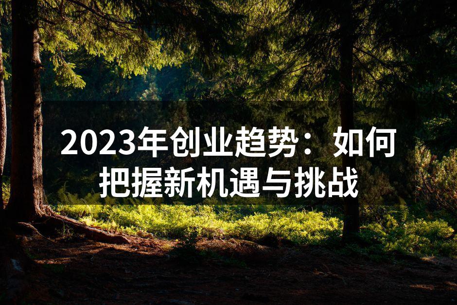 2023年创业趋势：如何把握新机遇与挑战