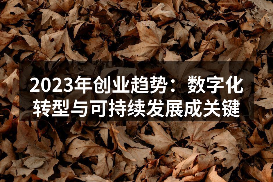 2023年创业趋势：数字化转型与可持续发展成关键